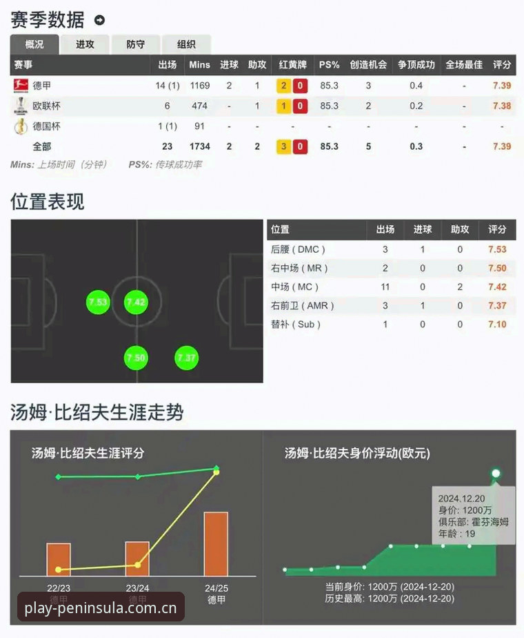 半岛体育热门赛事 半岛体育热门赛事深度分析:从用户视角看体育竞猜平台的实战体验